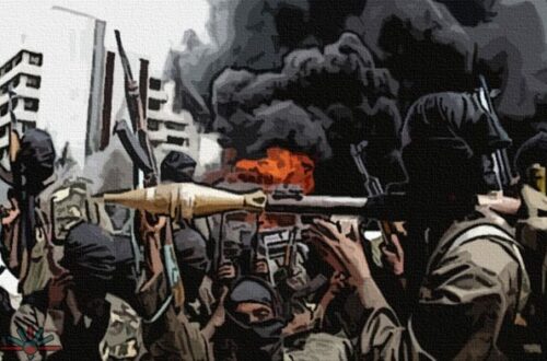 Article : Boko Haram, vu du Niger