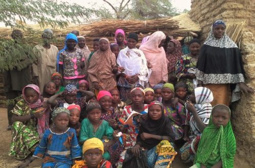 Article : L’ alphabétisation fonctionnelle au Niger